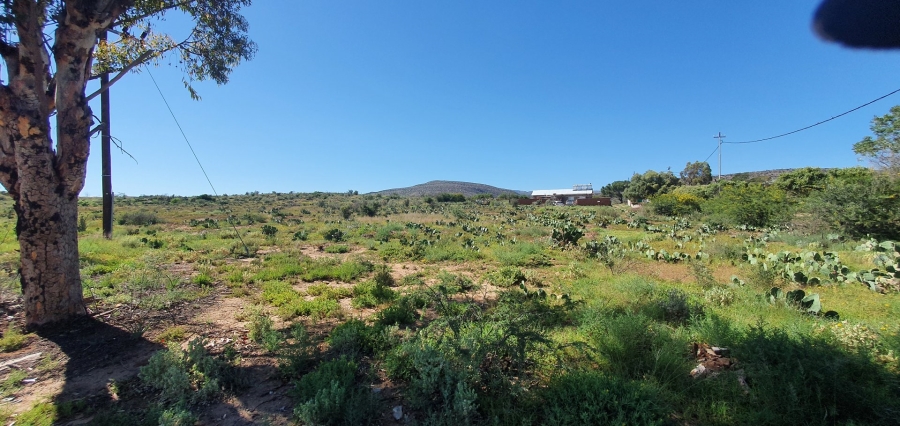 0 Bedroom Property for Sale in Willowmore Eastern Cape